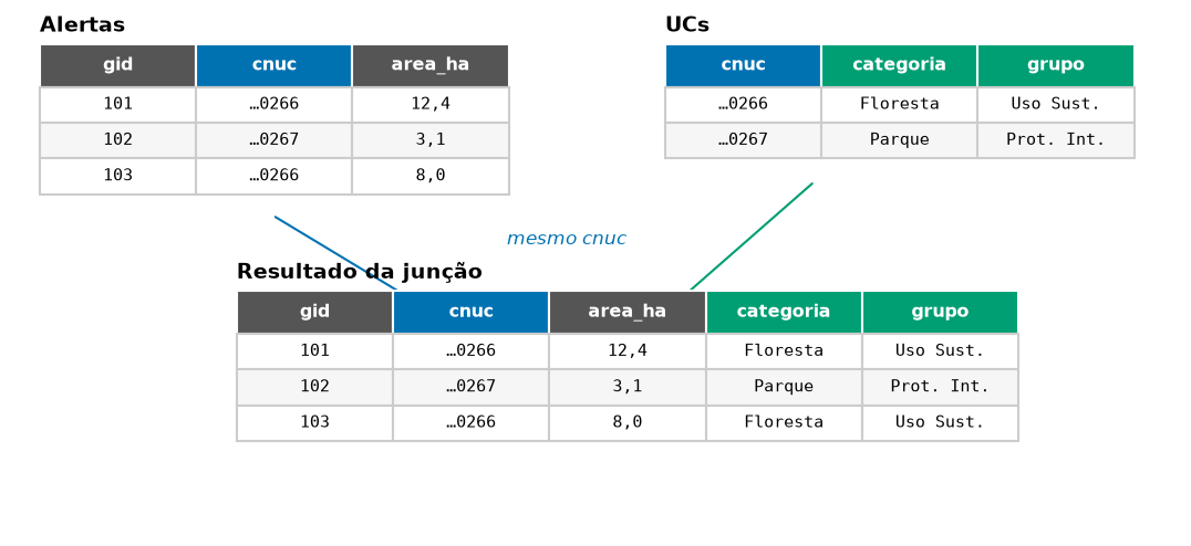Two tables. On the left, alerts with the columns gid, cnuc and area_ha. On the right, protected areas with cnuc, categoria and grupo. Arrows link the matching cnuc values, and the result below has the columns of both tables.